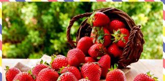fragole togliere pesticidi