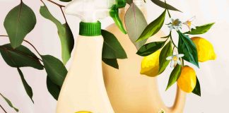 Scorza di Limone per fare sgrassatore