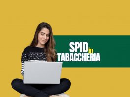 Donna al pc