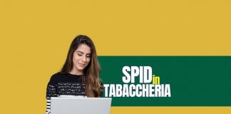Donna al pc